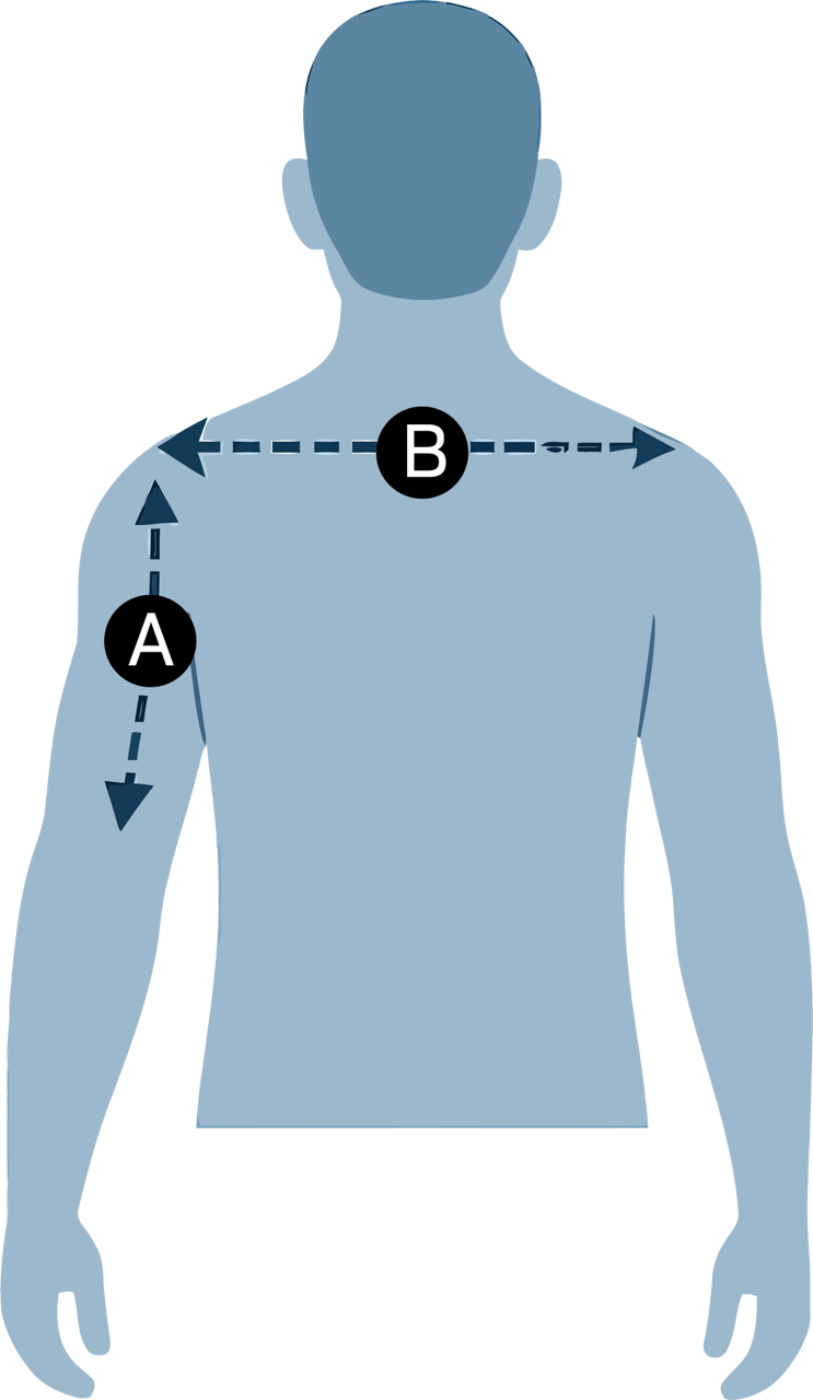 How to Measure ArmsEzzz